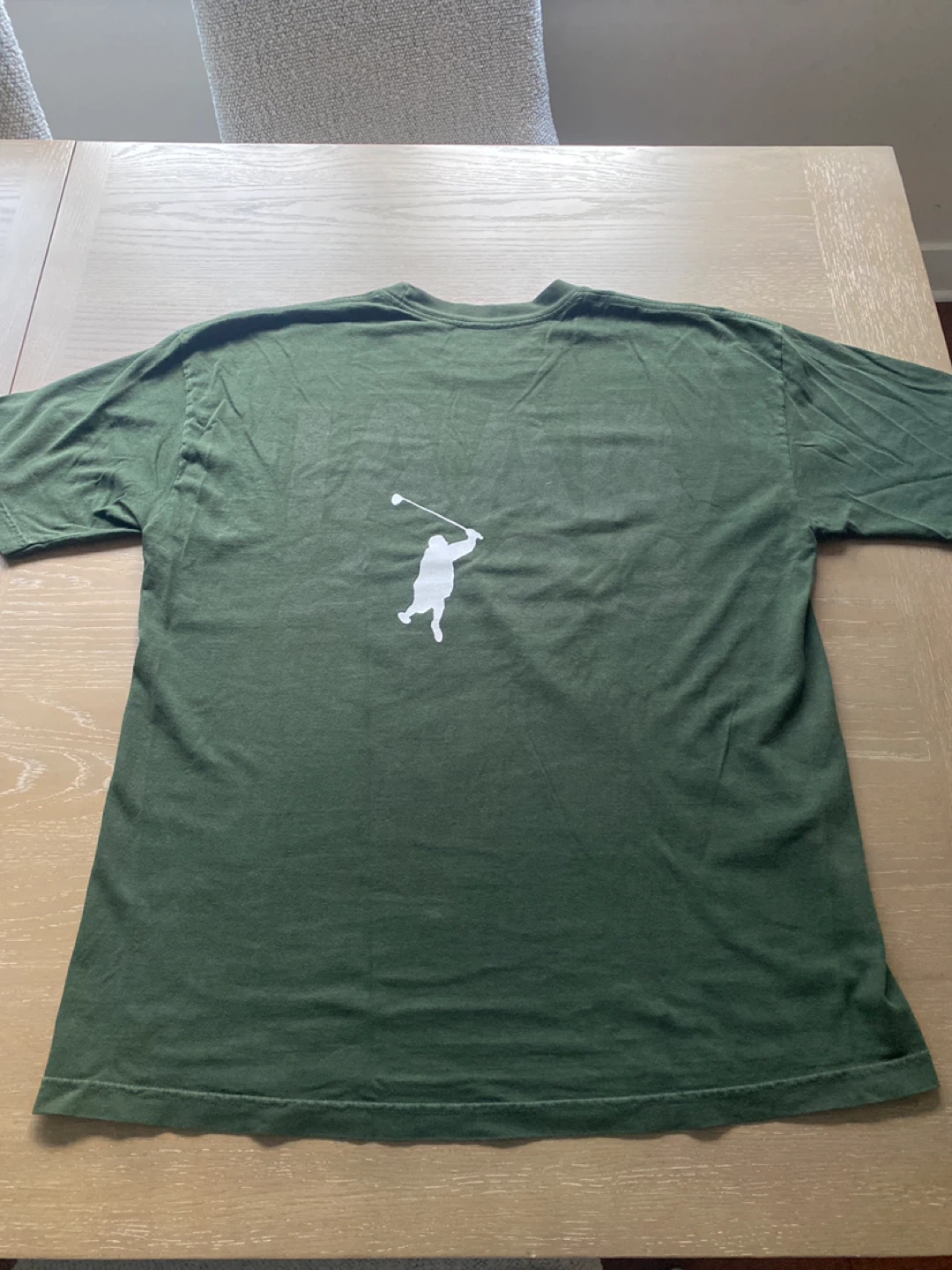 “I like what Drake likes” IAAB concert T-shirt - photo 2