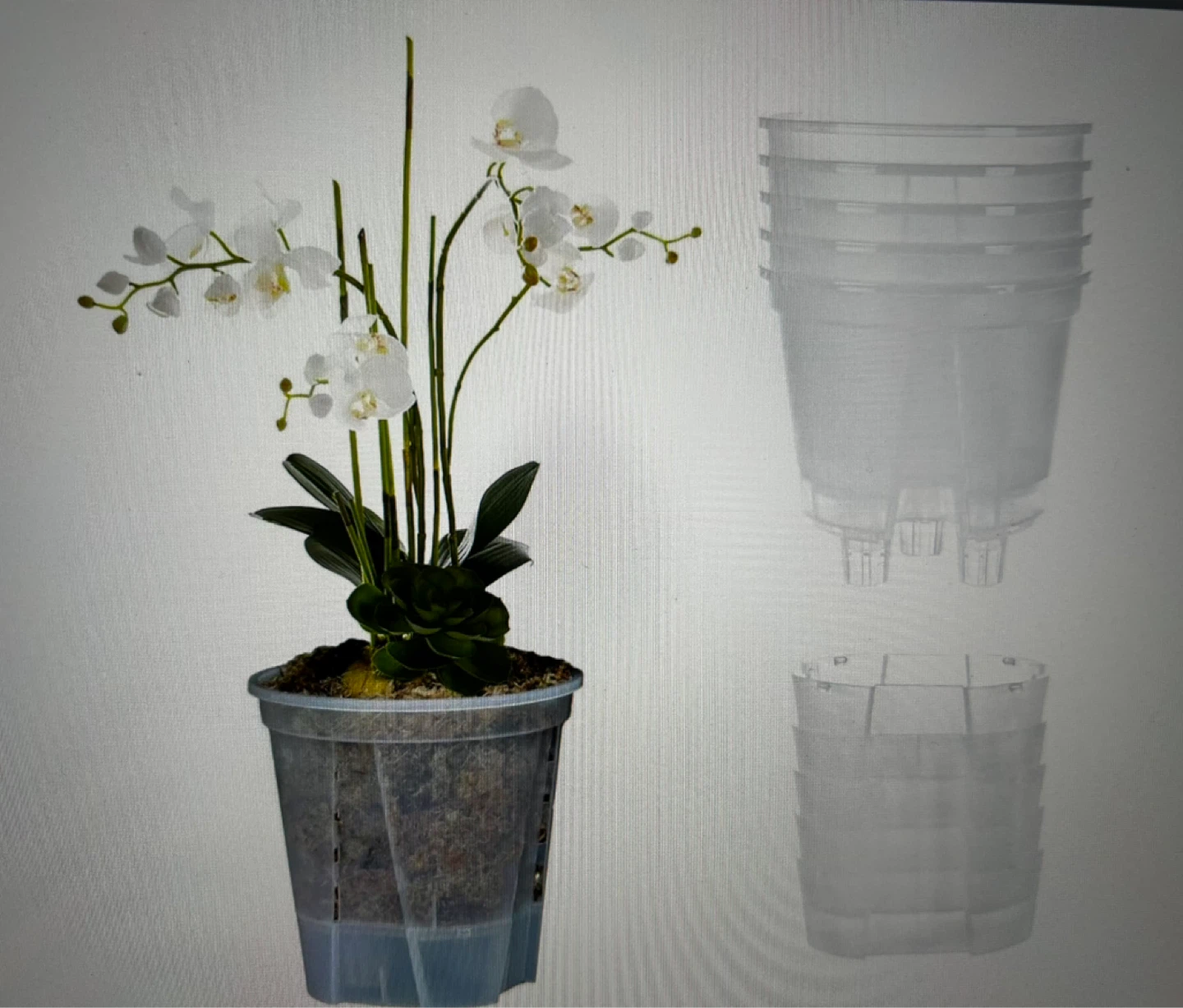 6 pack Self Watering Pots