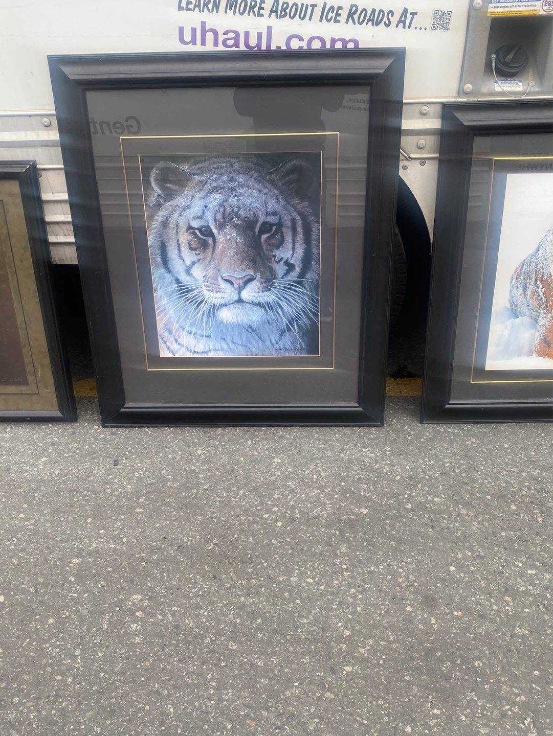 Framed Art Print - Tiger - photo 3
