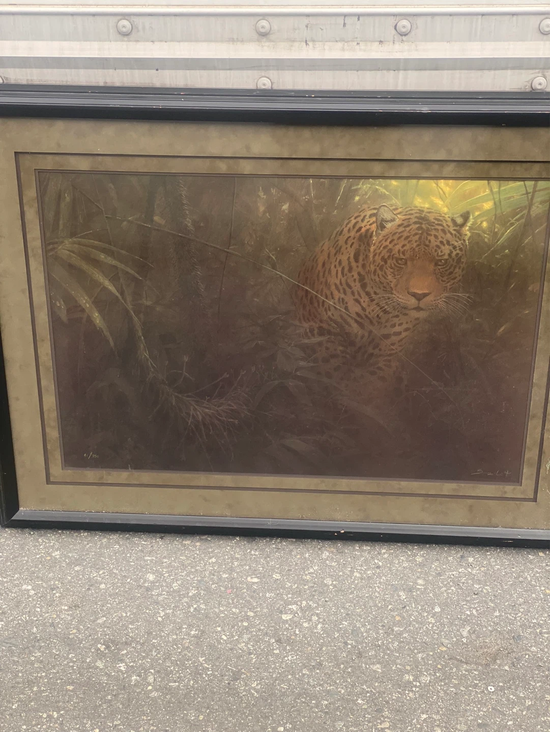 Framed Art Print - Tiger - photo 2