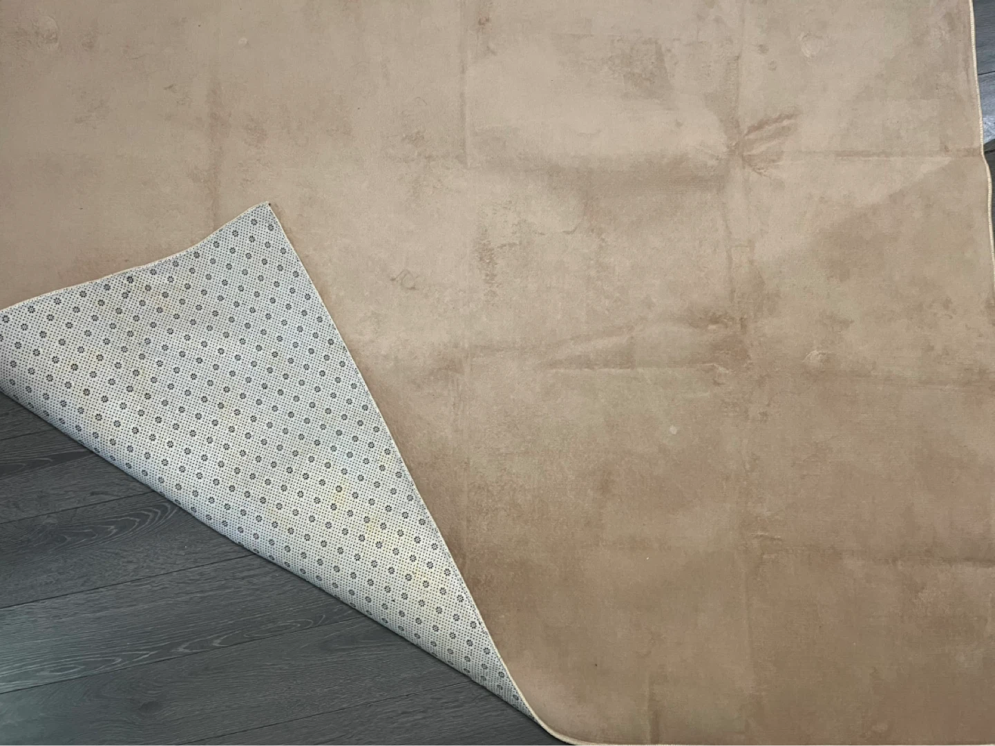 4 by 5.2 ft soft beige rug - photo 2