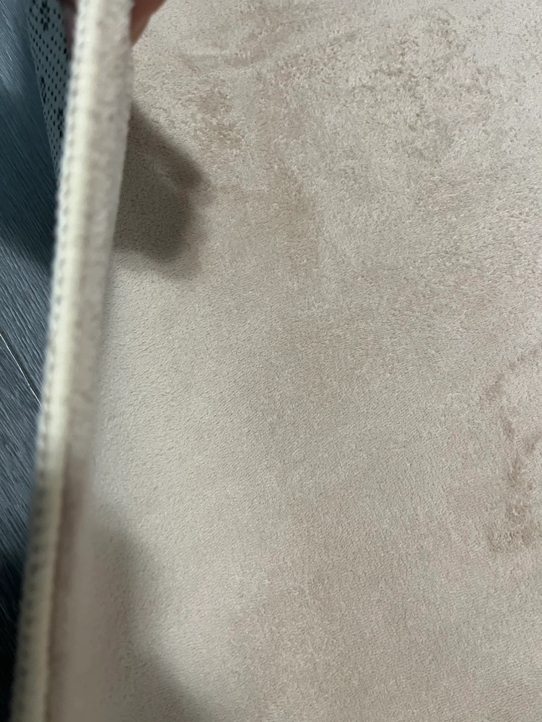 4 by 5.2 ft soft beige rug - photo 3