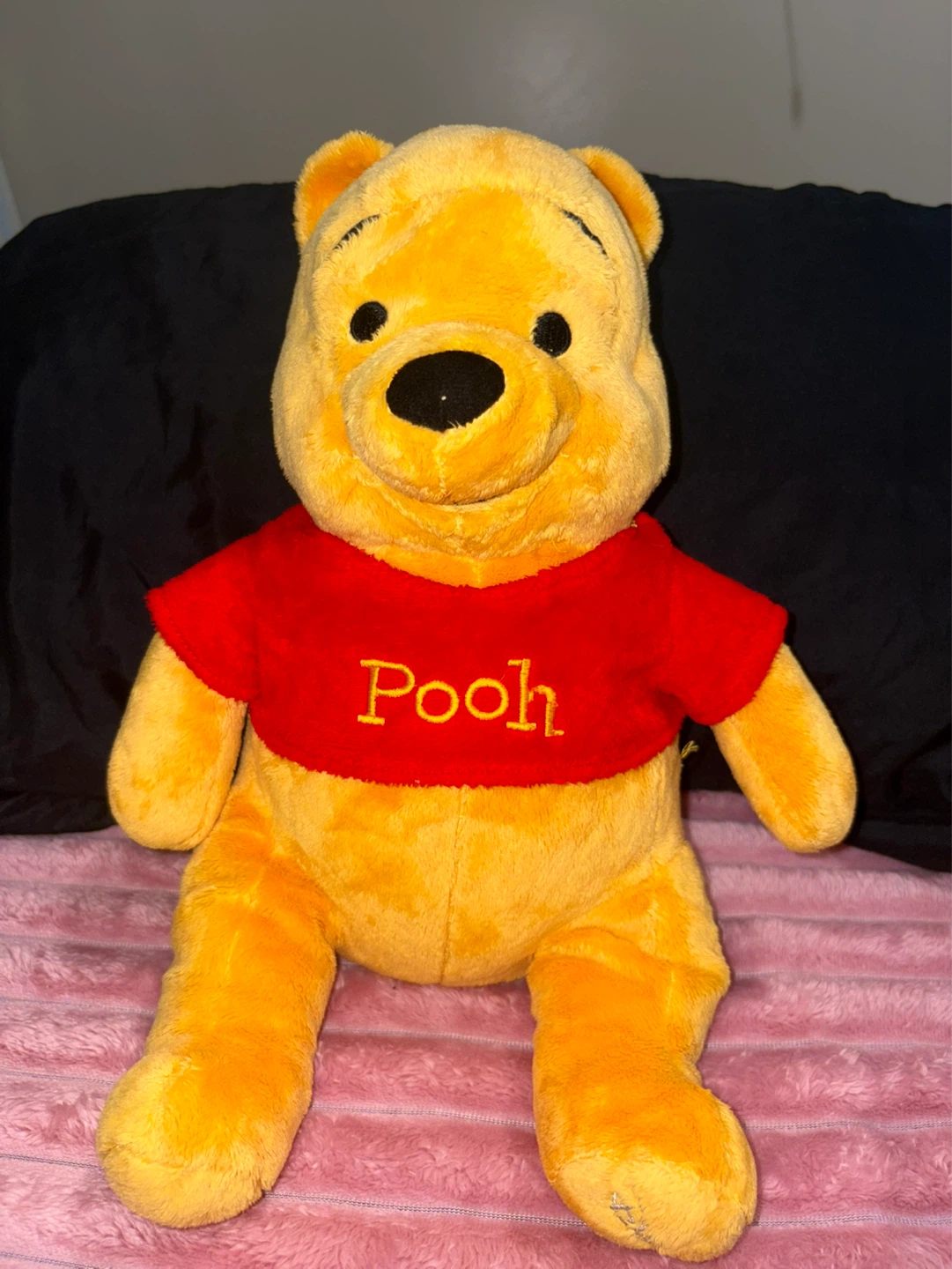 Disney Winnie the Pooh Plush Toy