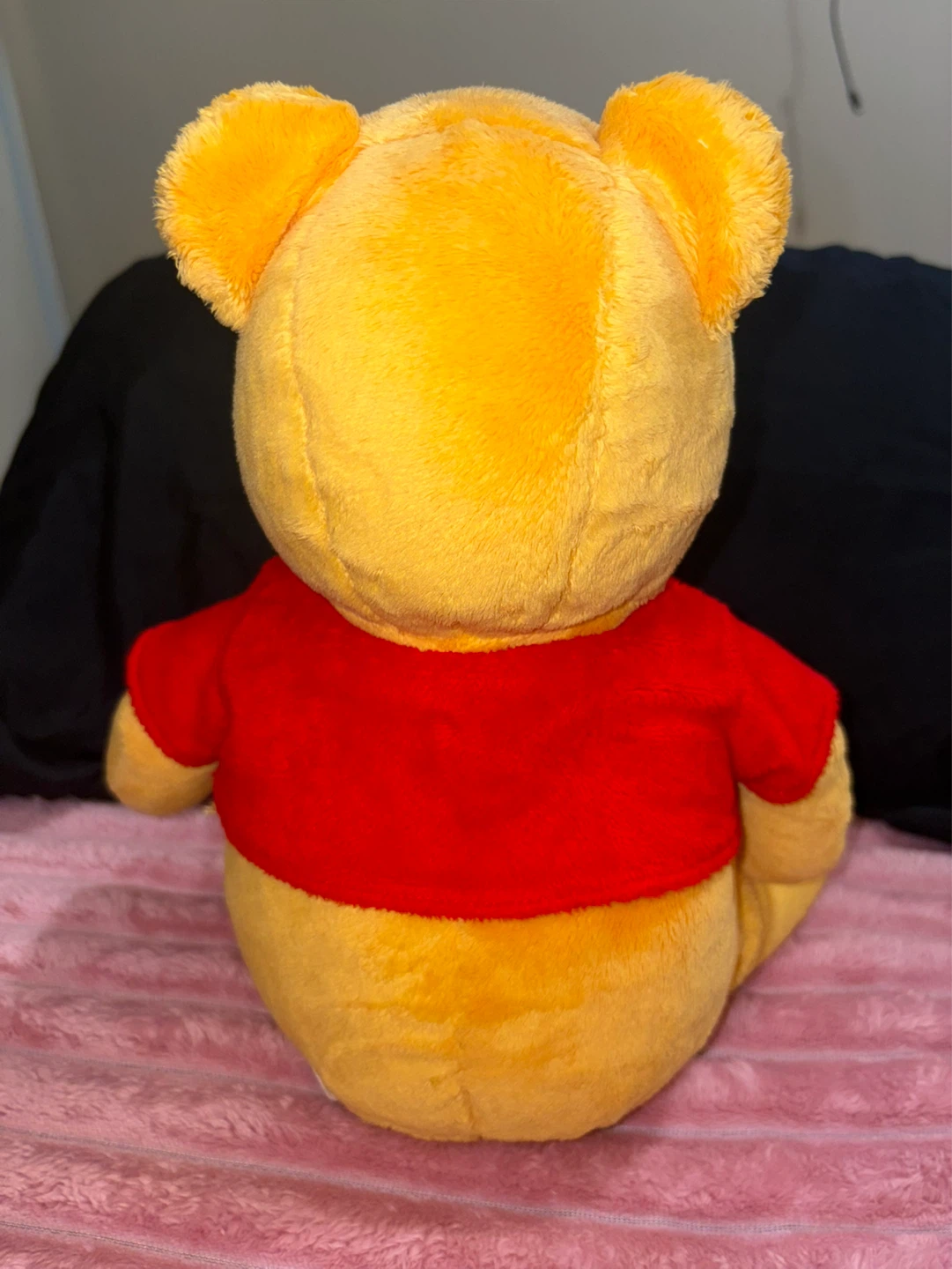 Disney Winnie the Pooh Plush Toy - photo 2