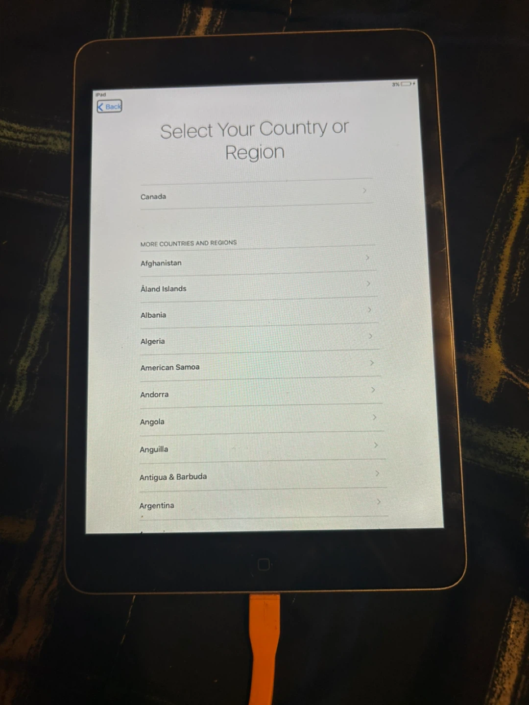 Apple iPad Mini