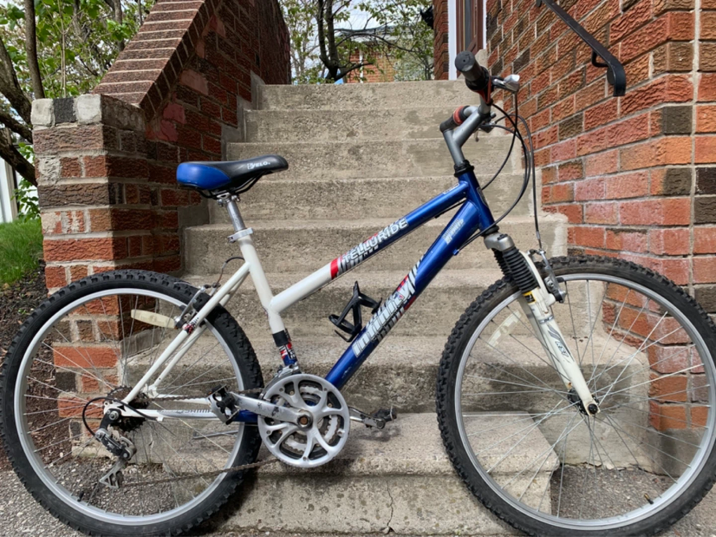 Schwinn Mountain Bike