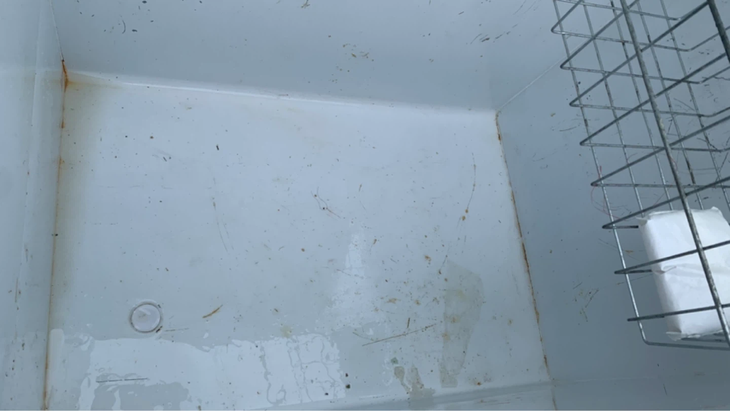 Chest freezer
