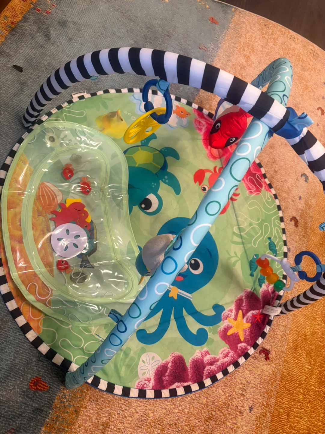 Fisher-Price Play Gym - photo 2