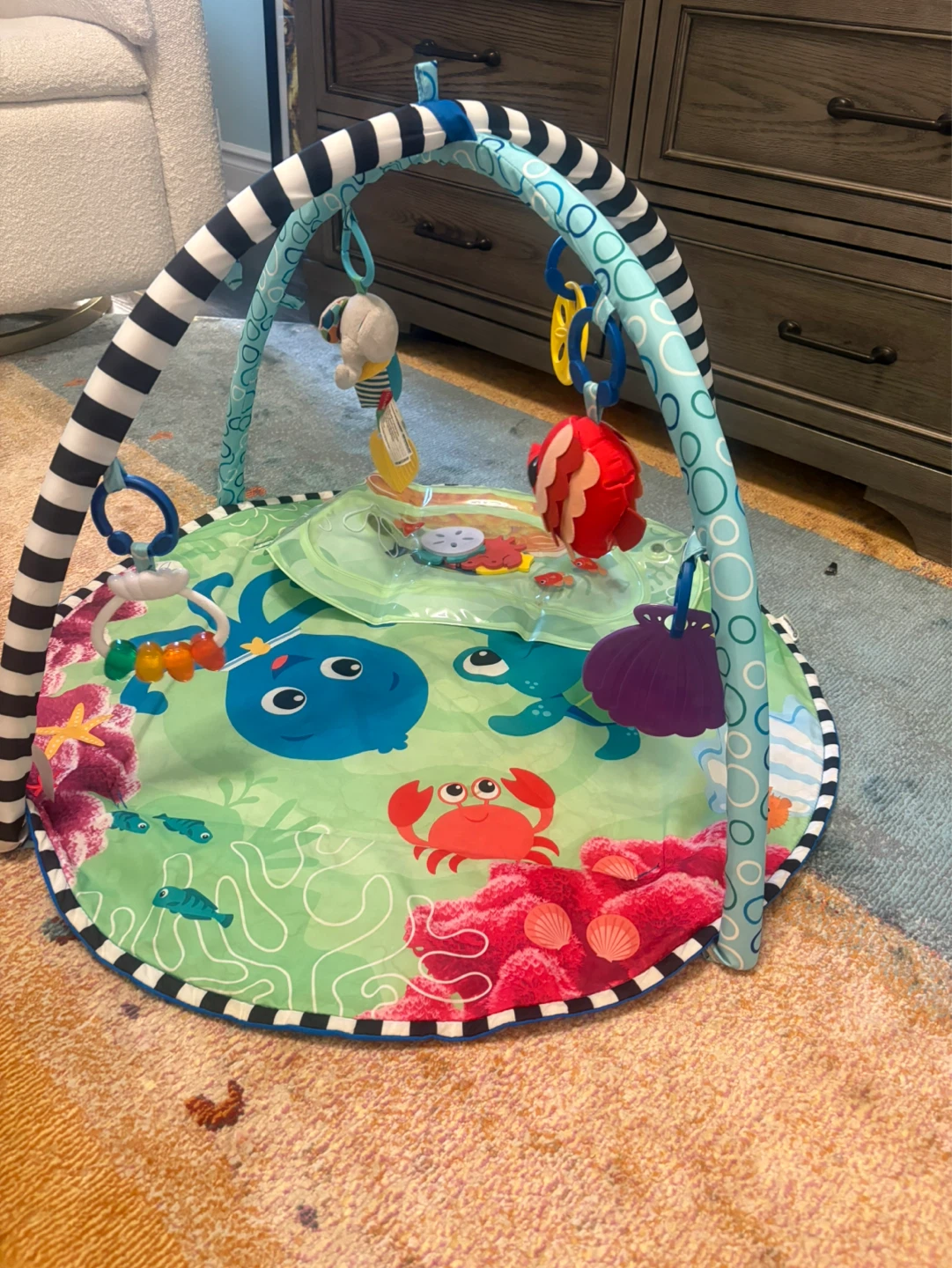 Fisher-Price Play Gym
