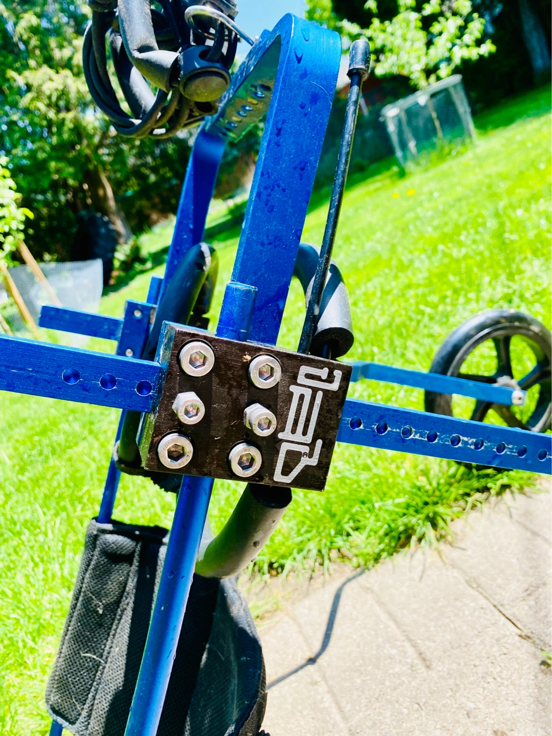 Blue Dog Wheelchair Walker - photo 2
