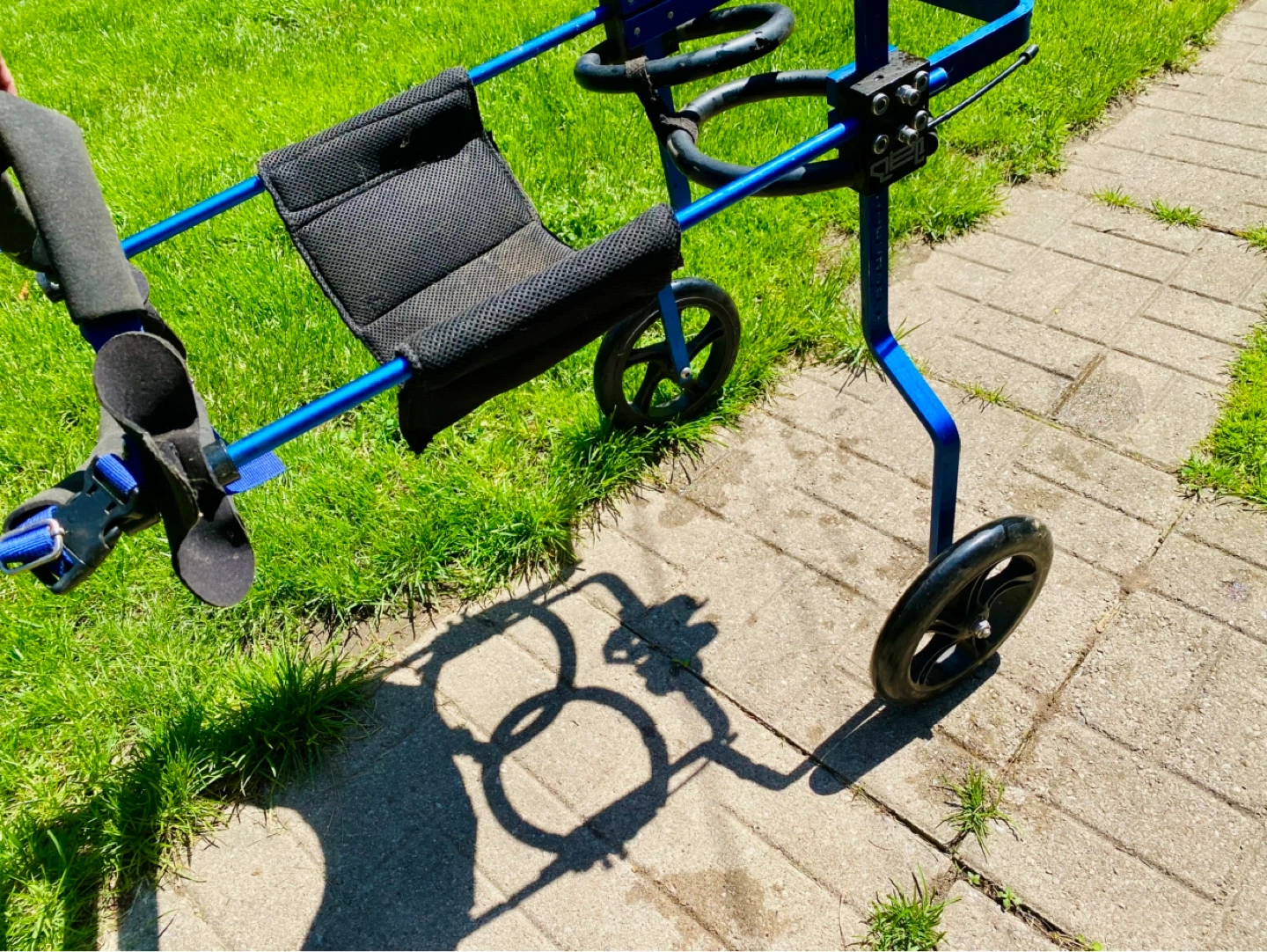 Blue Dog Wheelchair Walker - photo 4