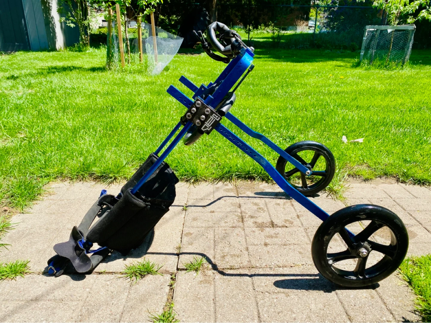 Blue Dog Wheelchair Walker - photo 5