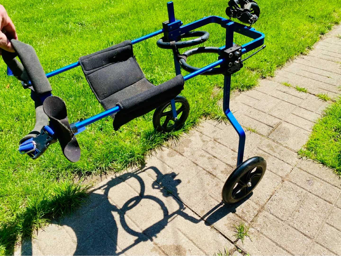 Blue Dog Wheelchair Walker