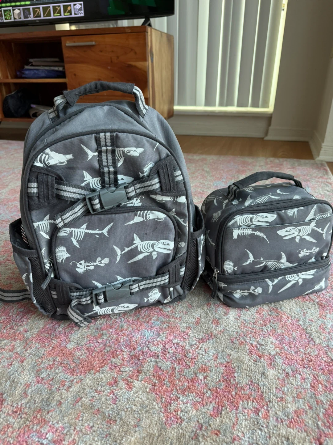 Pottery Barn kids backpack + lunch bag