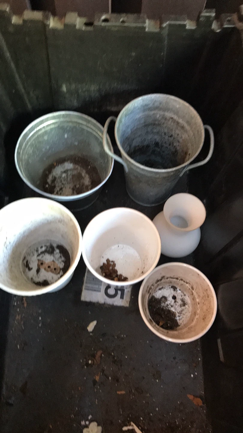 Assorted Planters and Pots - photo 4