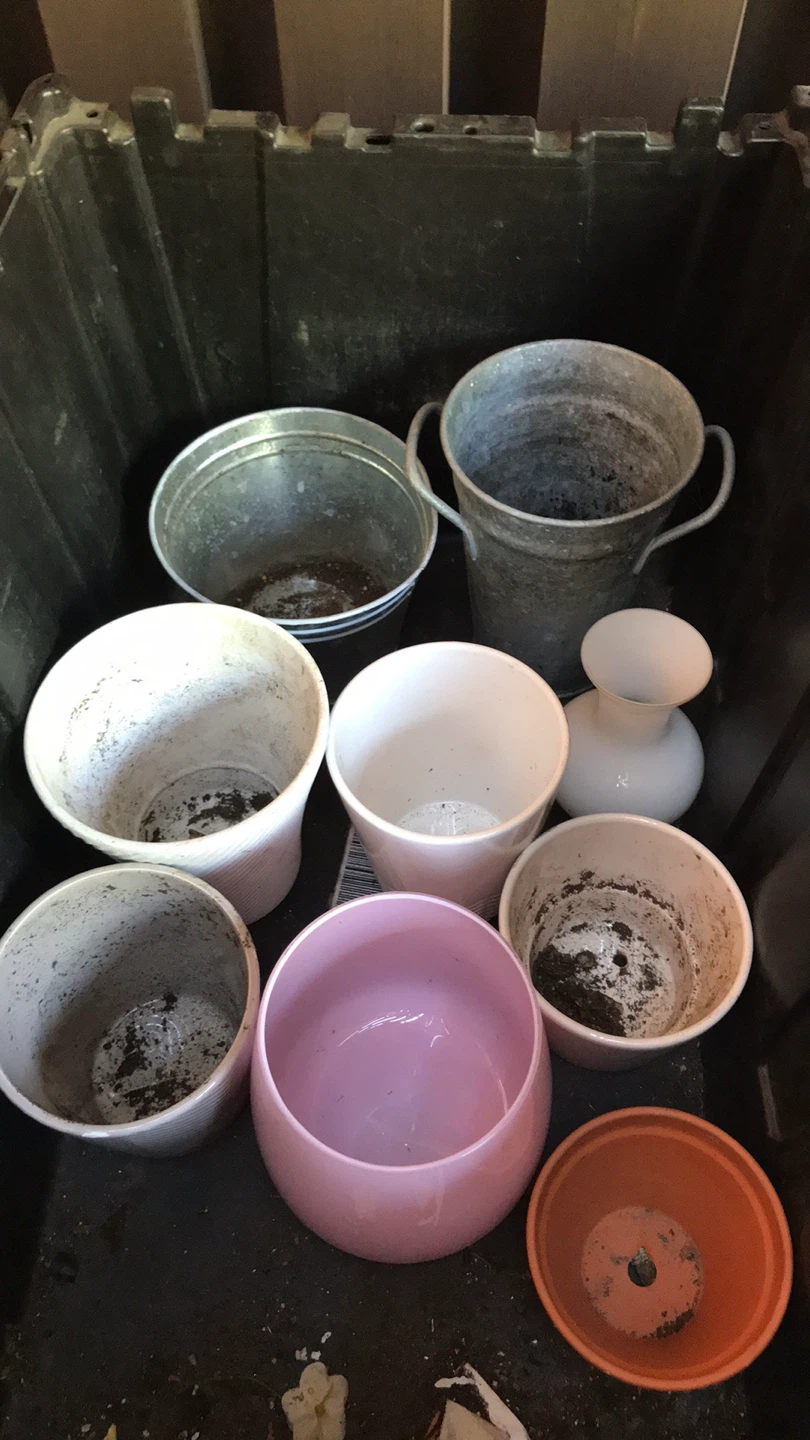 Assorted Planters and Pots