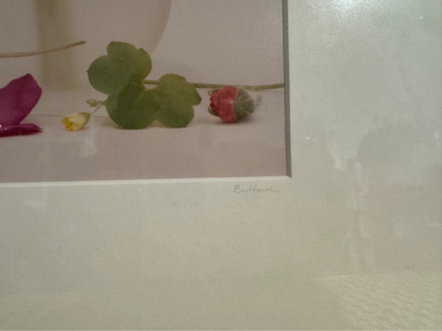 Jill Bedford "Two Vases With Flowers" Framed Photograph - photo 3