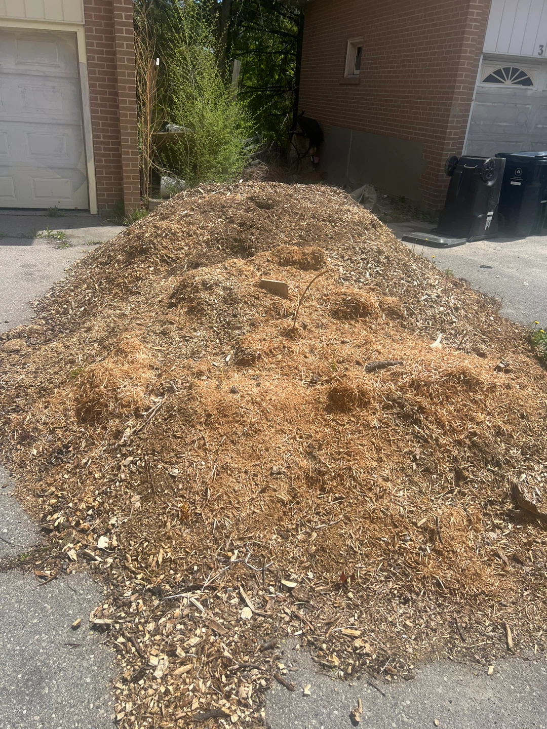 Free Wood Chips Mulch - photo 2