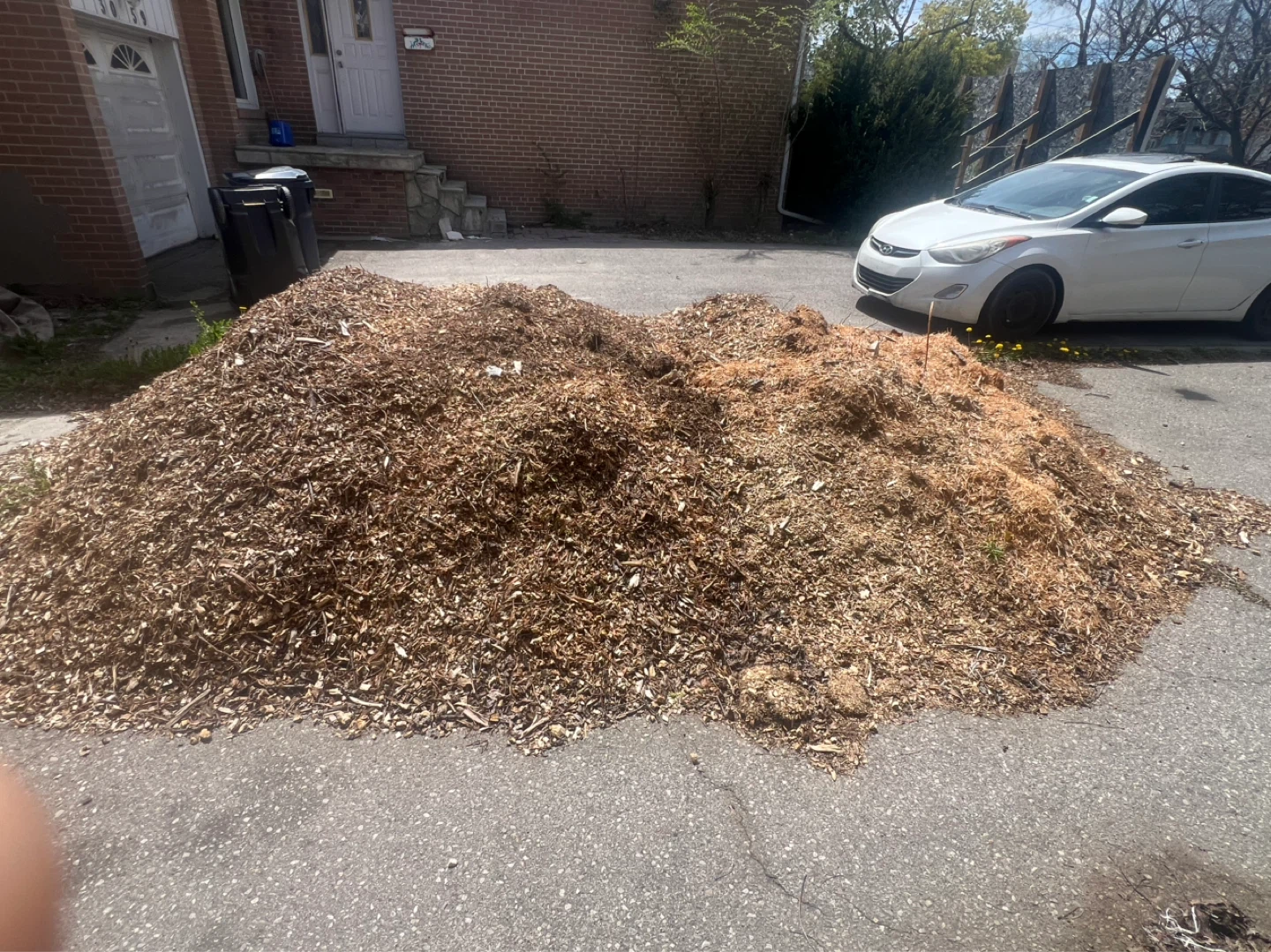 Free Wood Chips Mulch