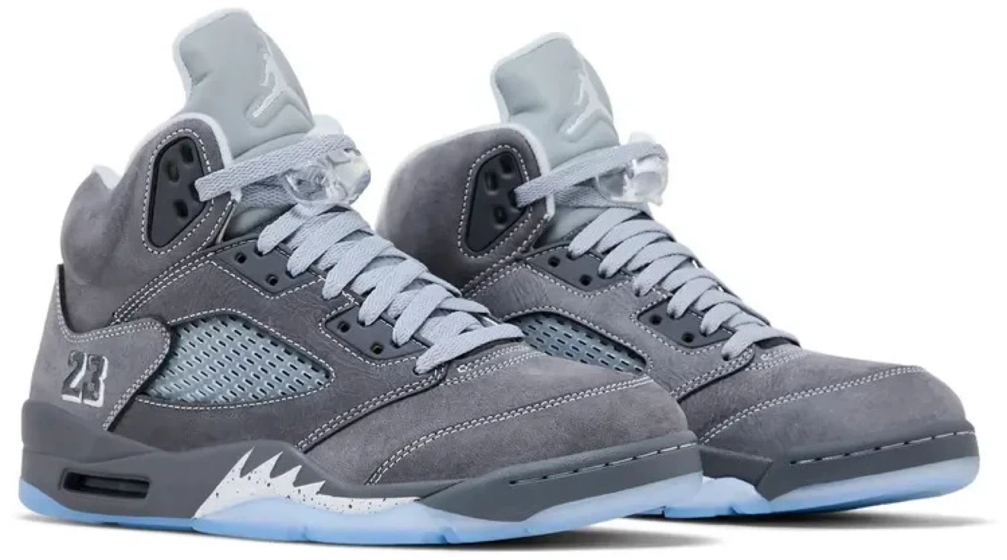 Air Jordan 5 Retro SE