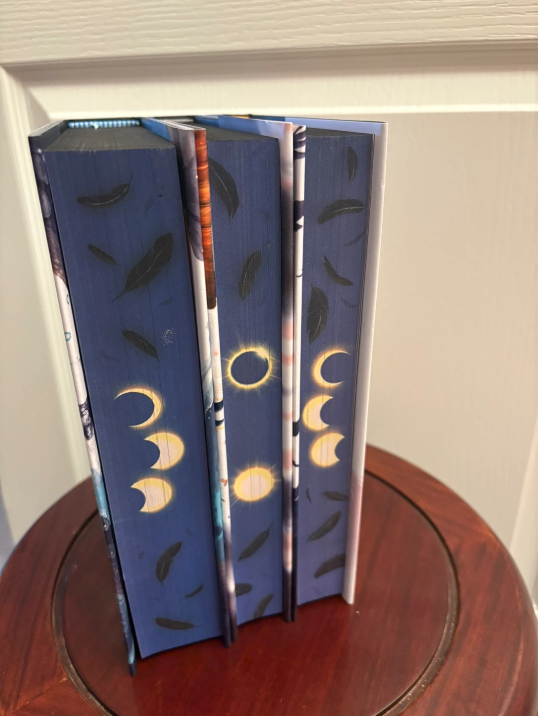 Rebecca Roanhorse- Broken Binding Edition - photo 5