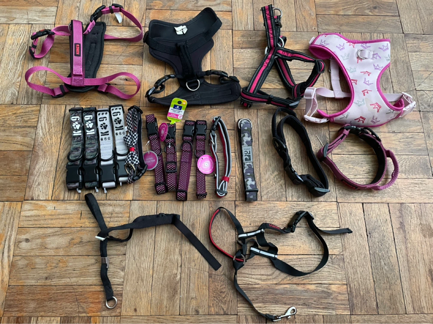 Medium Dog Collars & Harnesses Lot