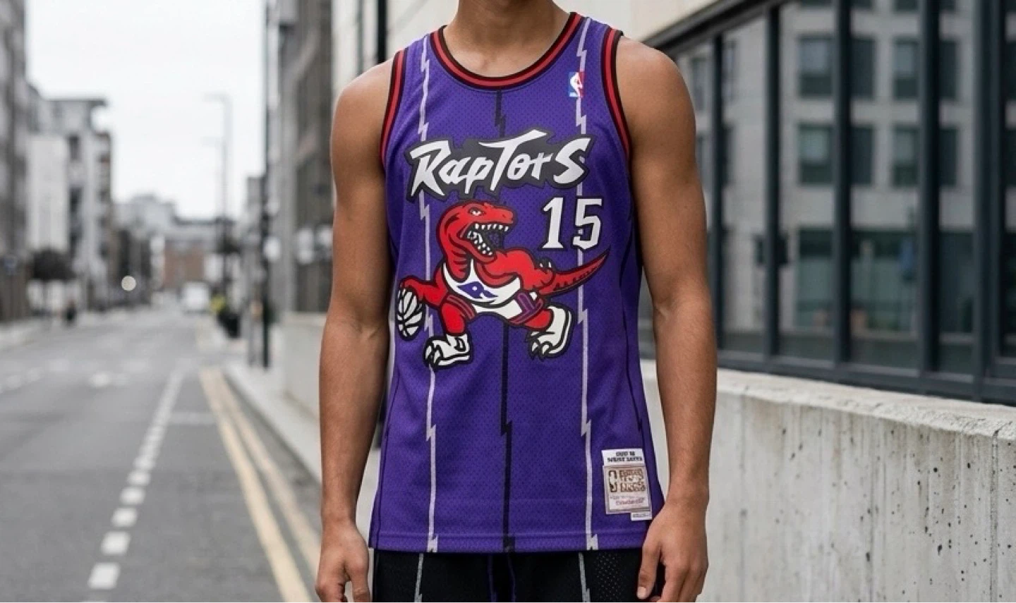 Vince Carter Raptors Purple Jersey #15 NBA Men’s Large, Medium