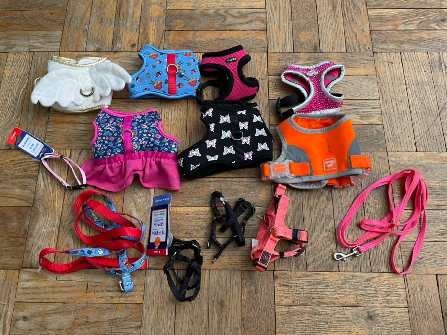 XS Dog Harnesses, Collars & Leashes Lot