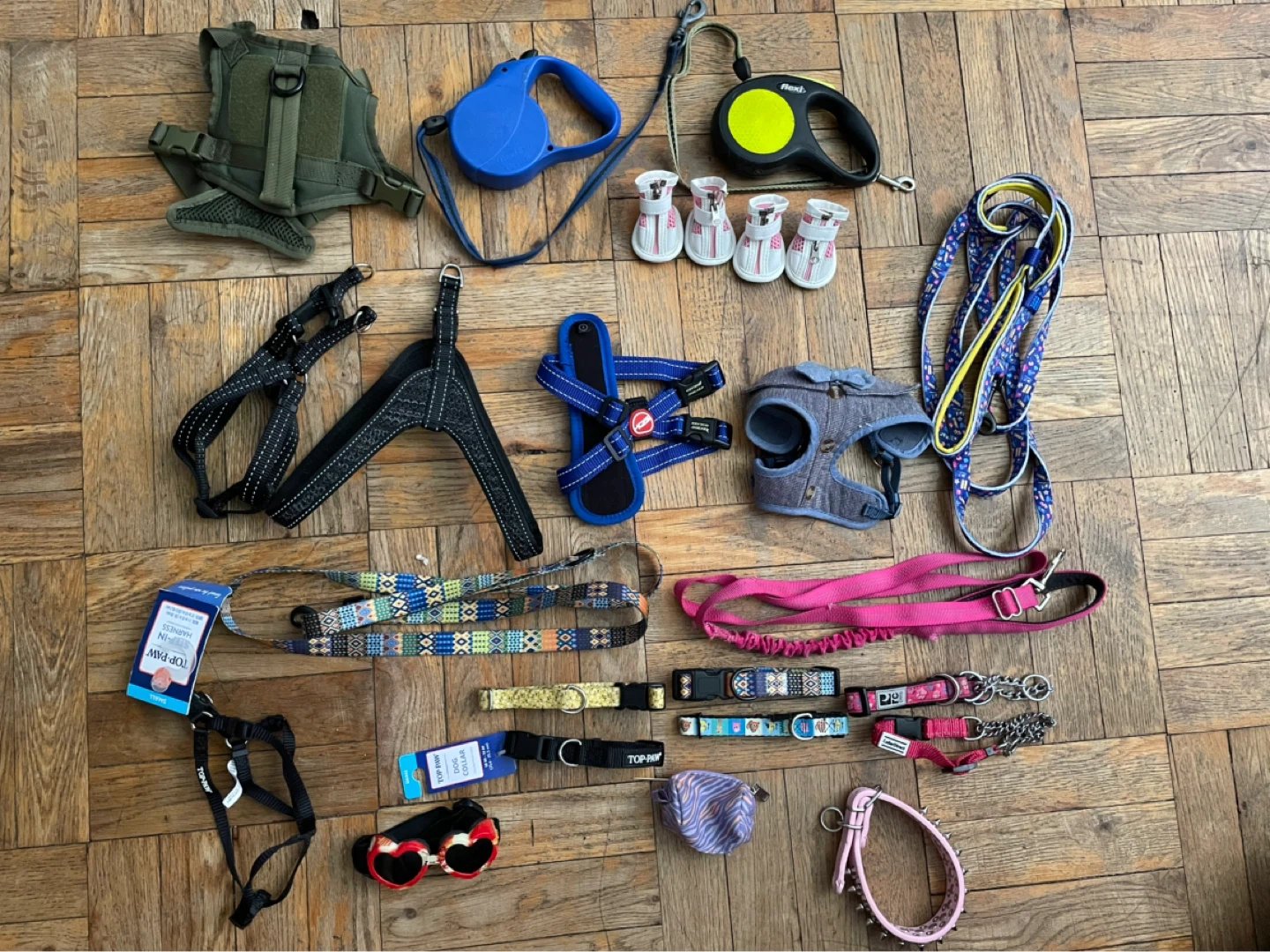 Small Dog Harnesses, Collars & Leashes Lot