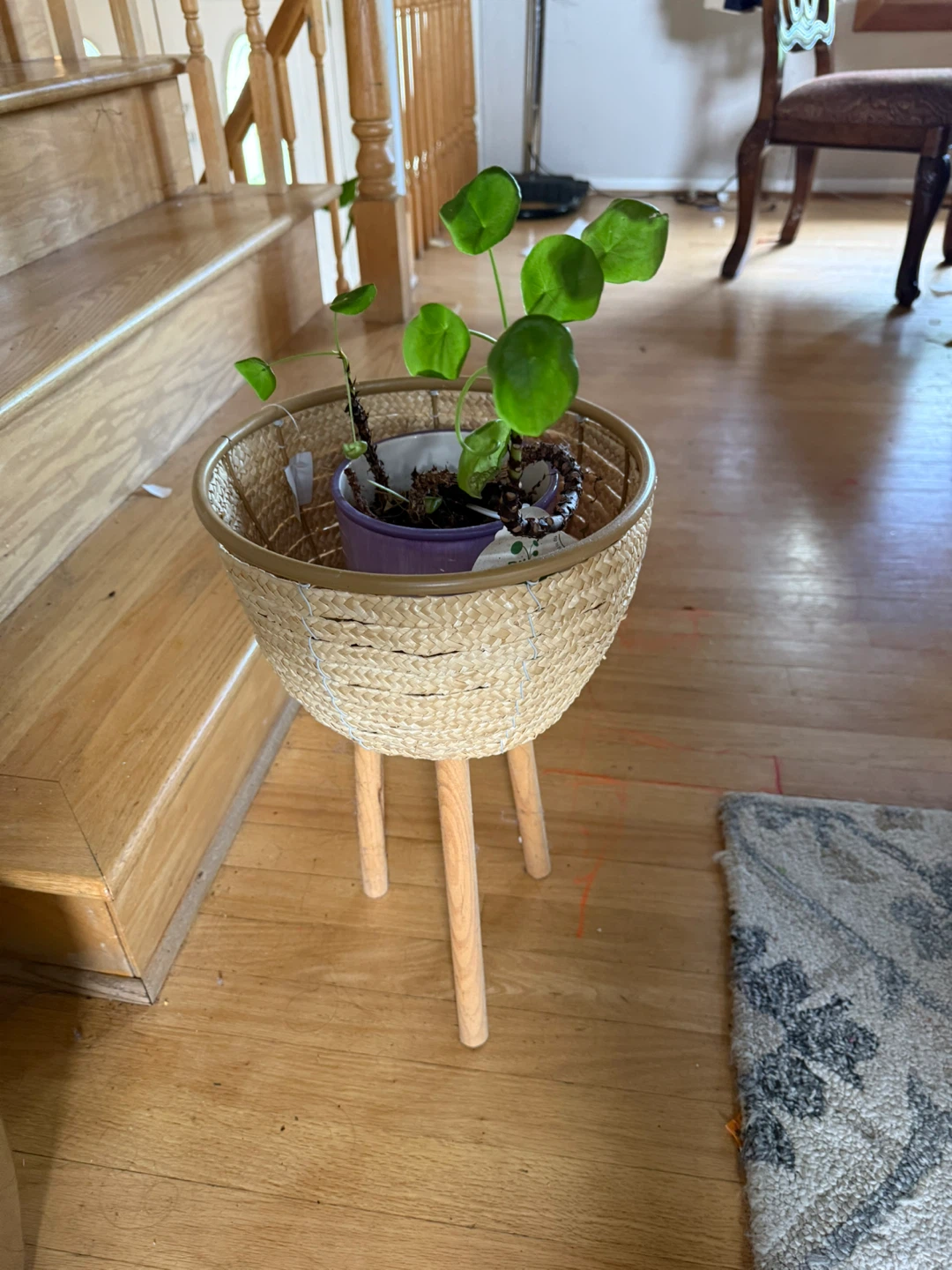 Woven Plant Stand with Pot