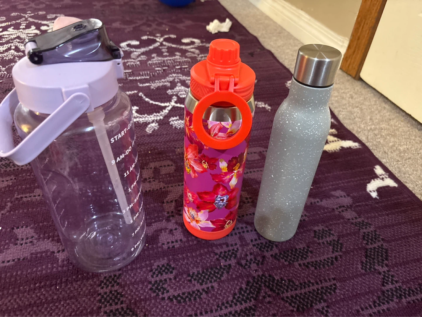 Water Bottle Bundle