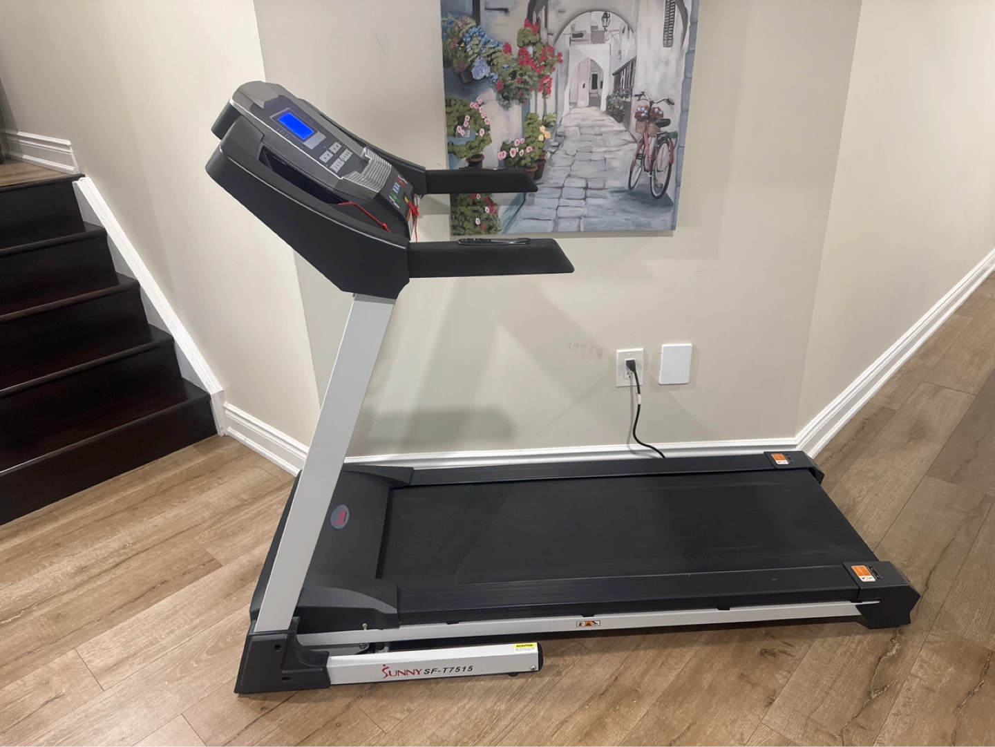 Sunny Health & Fitness SF-T7515 Treadmill