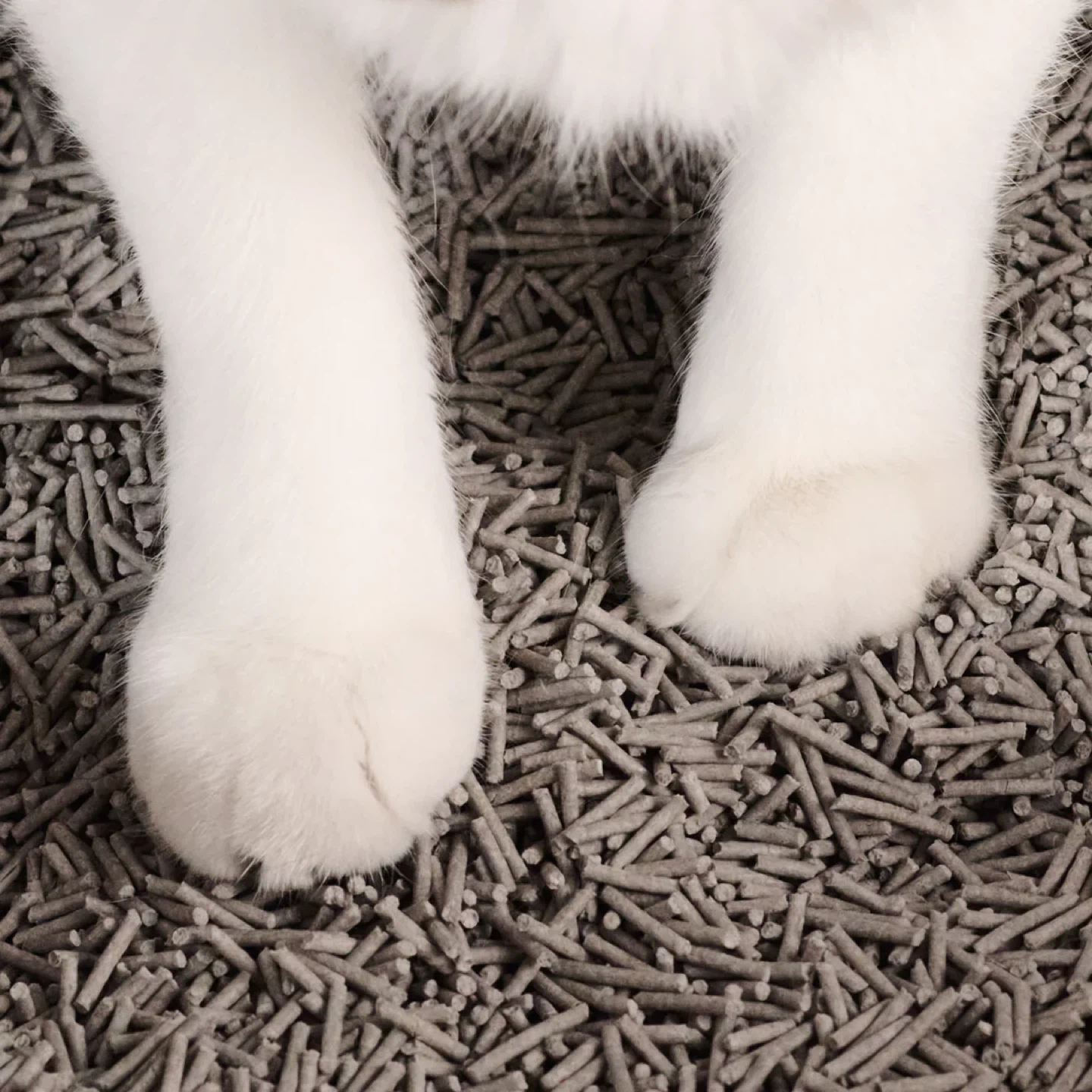 Tuft & Paw Cat Litter - photo 2