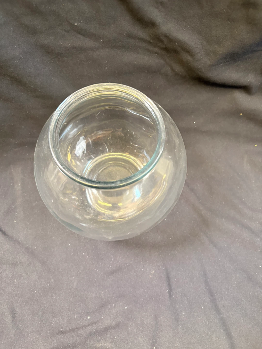Glass Fish Bowl Terrarium - photo 3