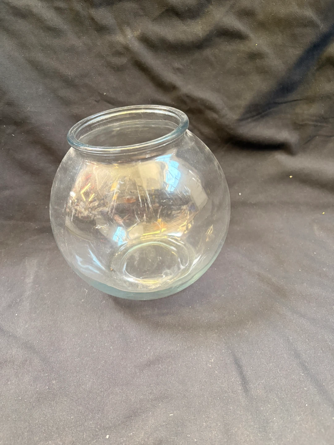 Glass Fish Bowl Terrarium
