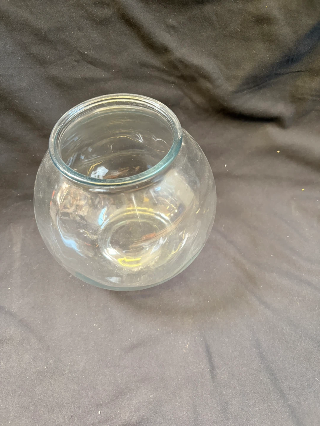 Glass Fish Bowl Terrarium - photo 2