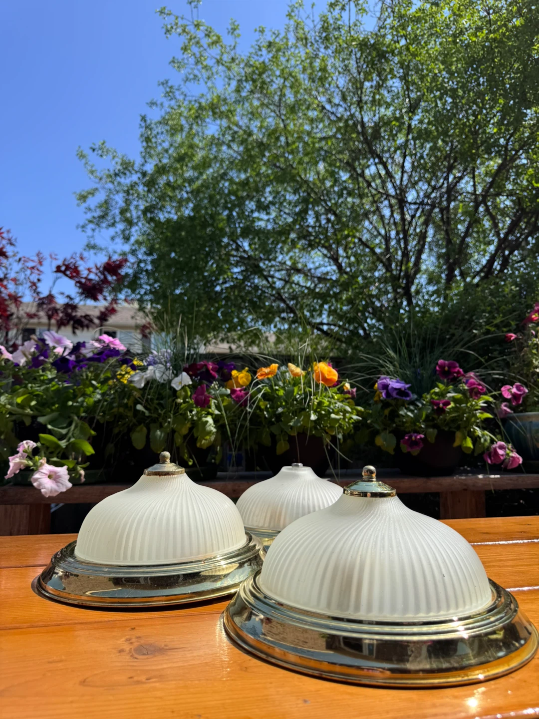 Frosted Glass Dome Light Fixtures - photo 4