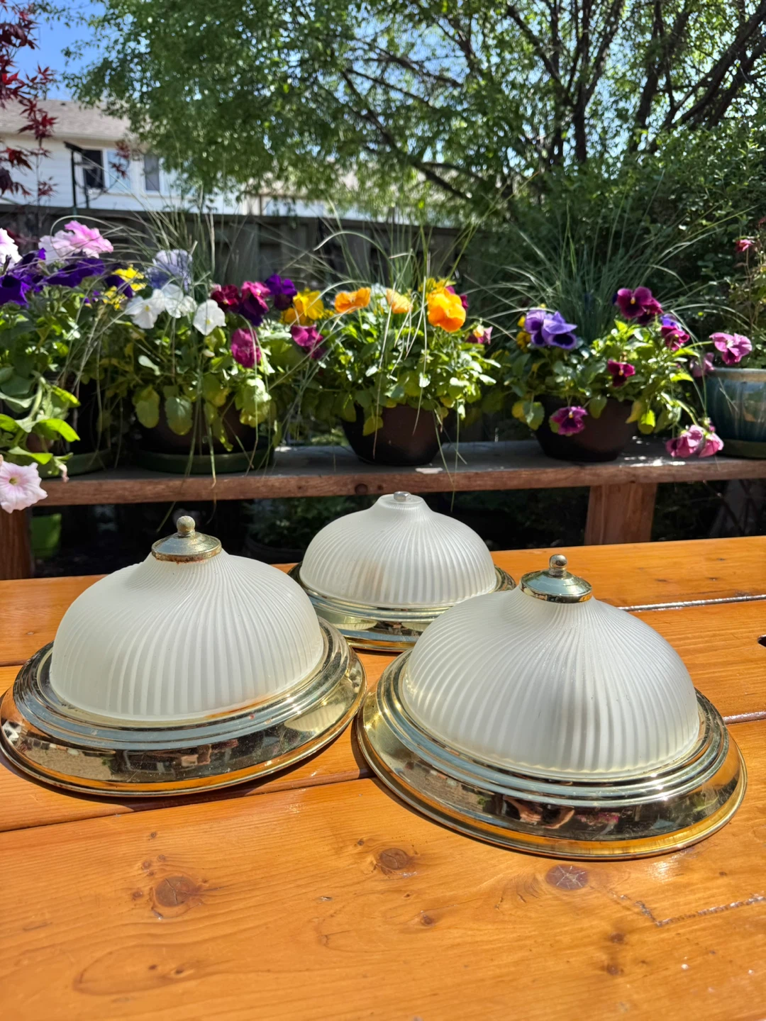 Frosted Glass Dome Light Fixtures - photo 2