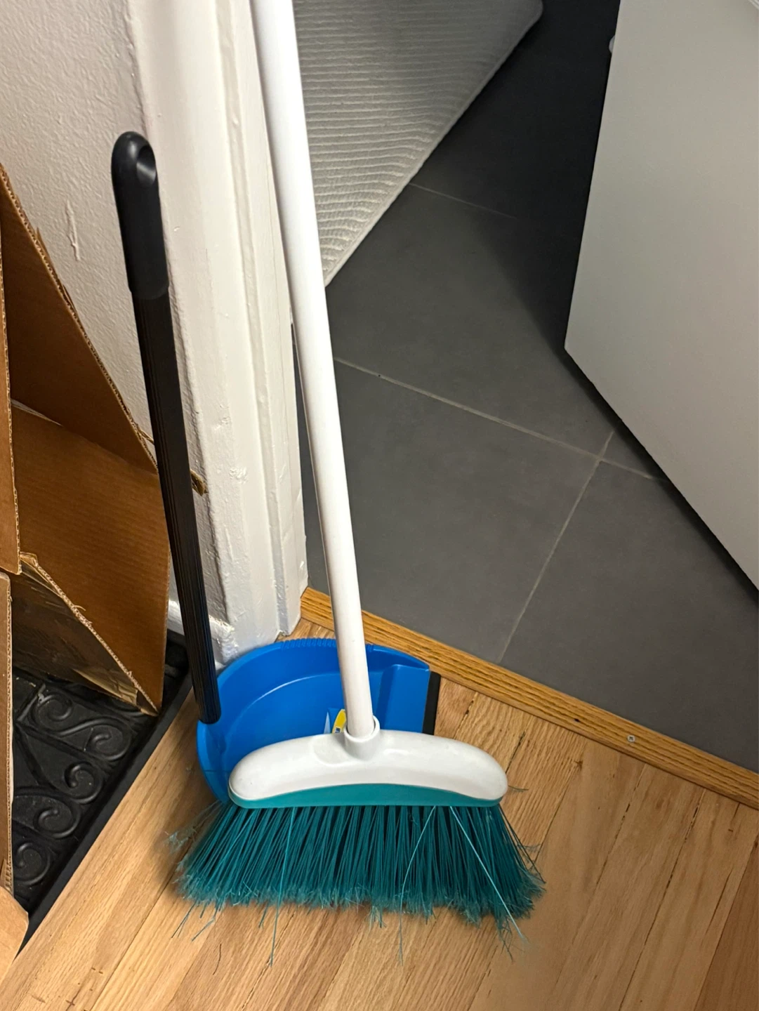 Broom and Dustpan