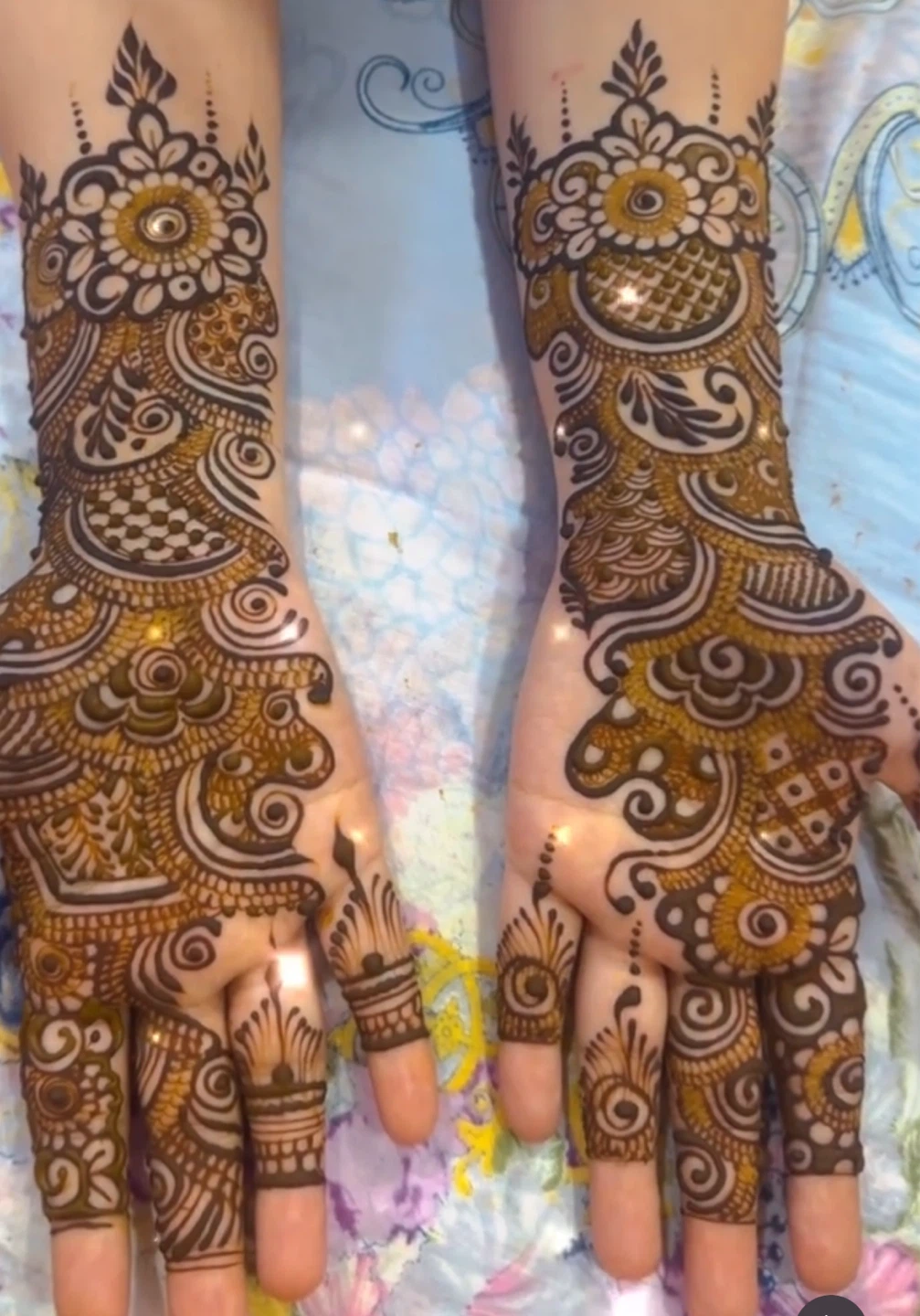 Intricate Henna Hand and Arm Designs