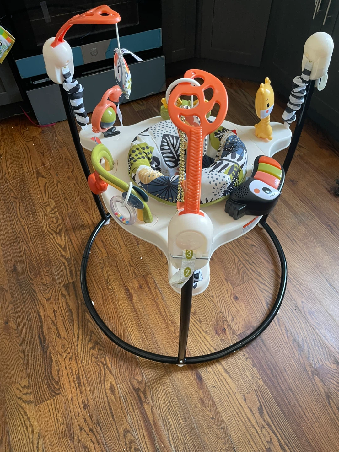 Fisher-Price Jumperoo Baby Activity Center