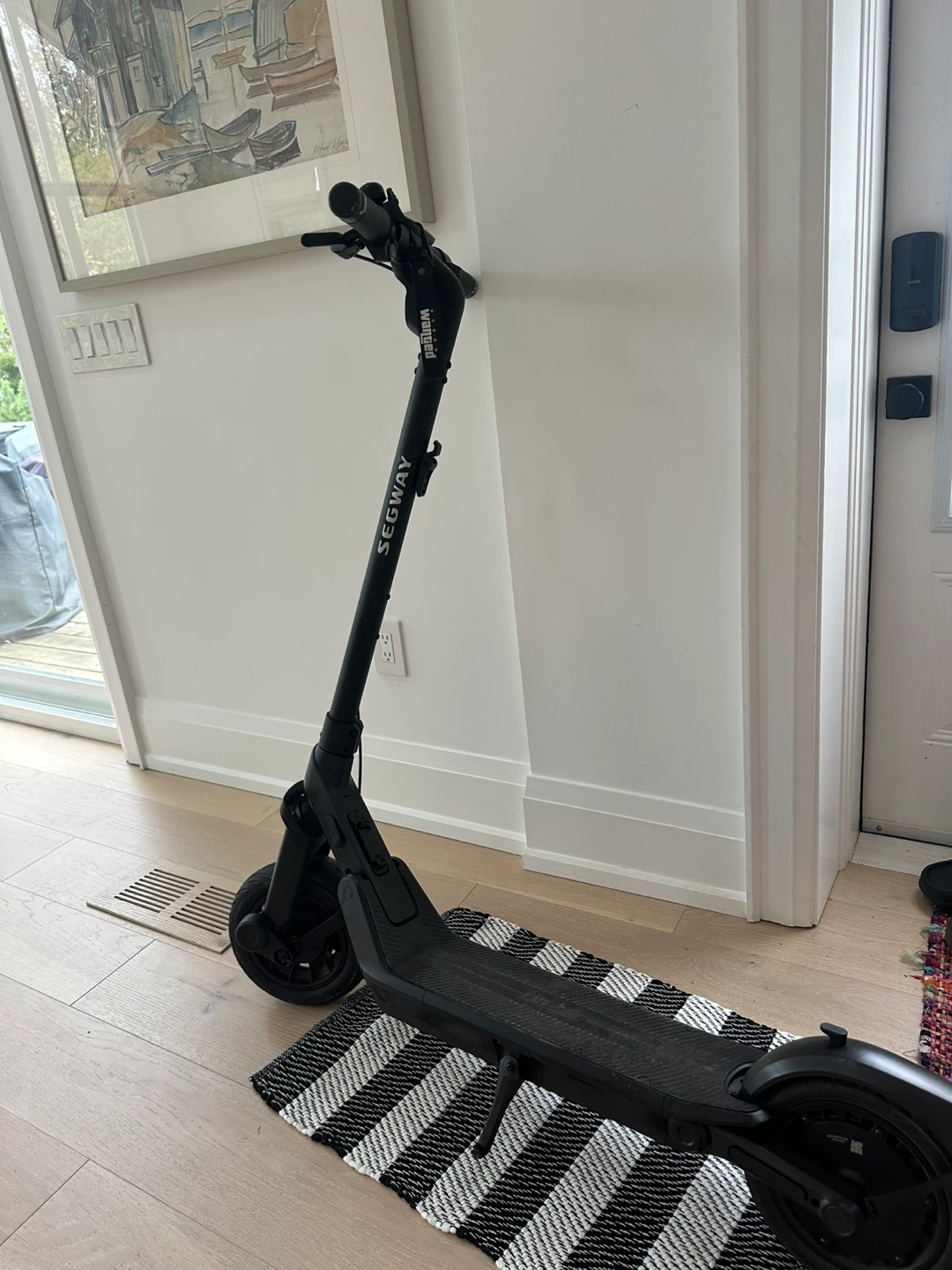 Segway Electric Scooter - photo 4