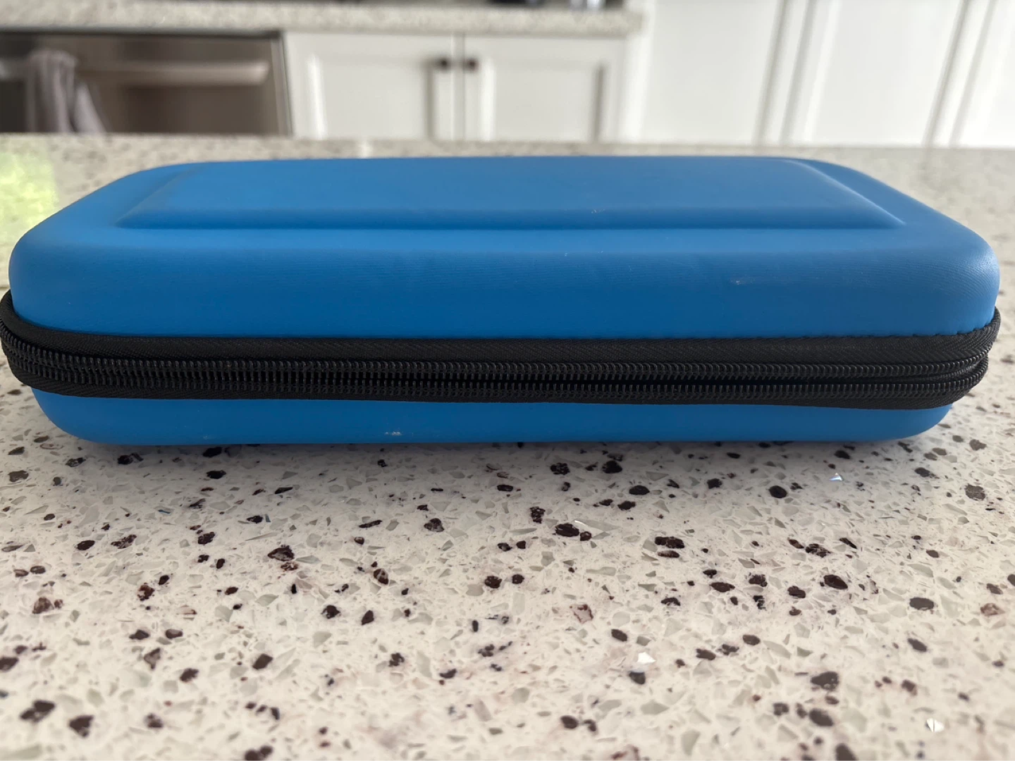 Blue Protective Carrying Case for Nintendo Switch