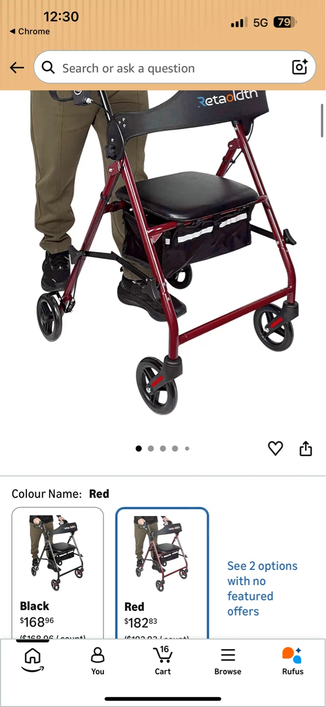 Brand new walker (Only Put Together Never Used)