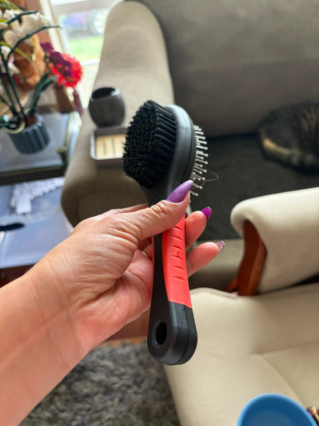 Dual-Sided Pet Brush