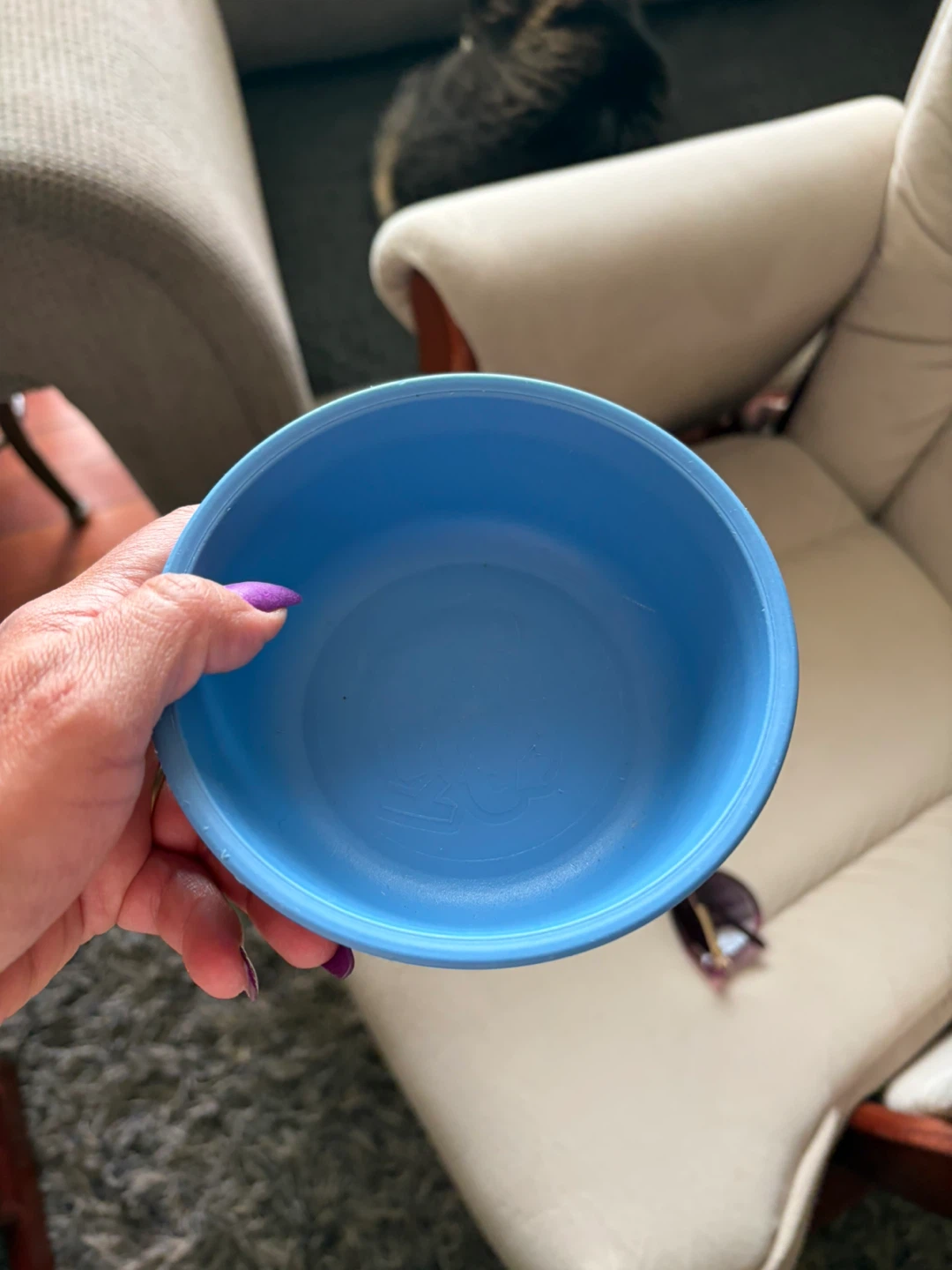 Pet Re-Play Recycled Bowl - Blue - photo 5