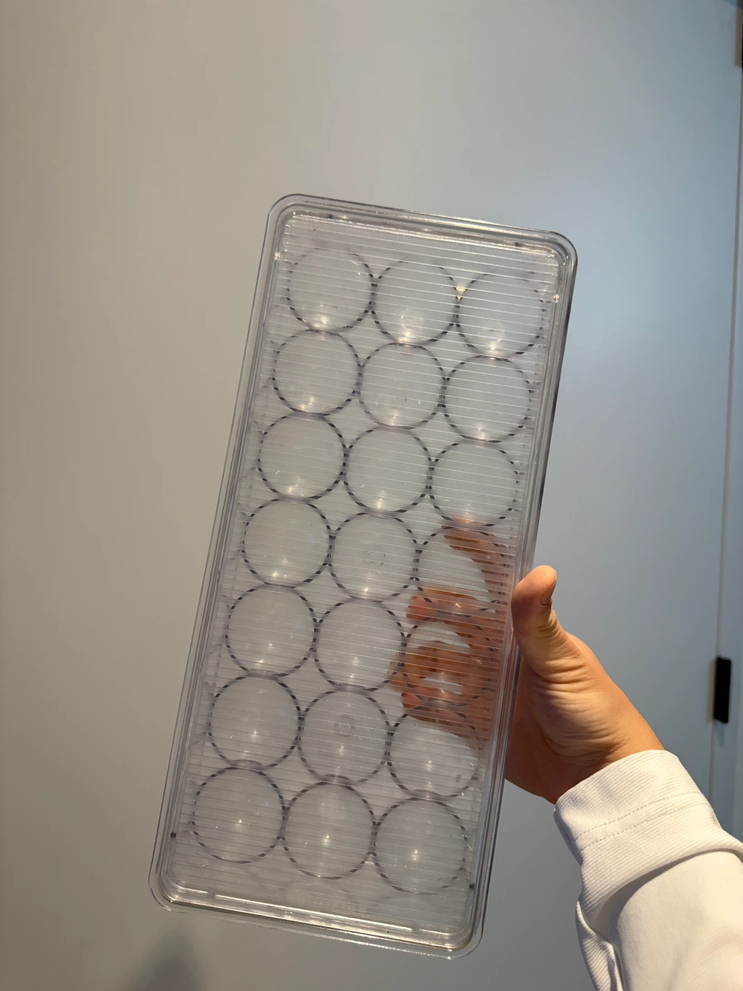 Clear Plastic Egg Holder Container