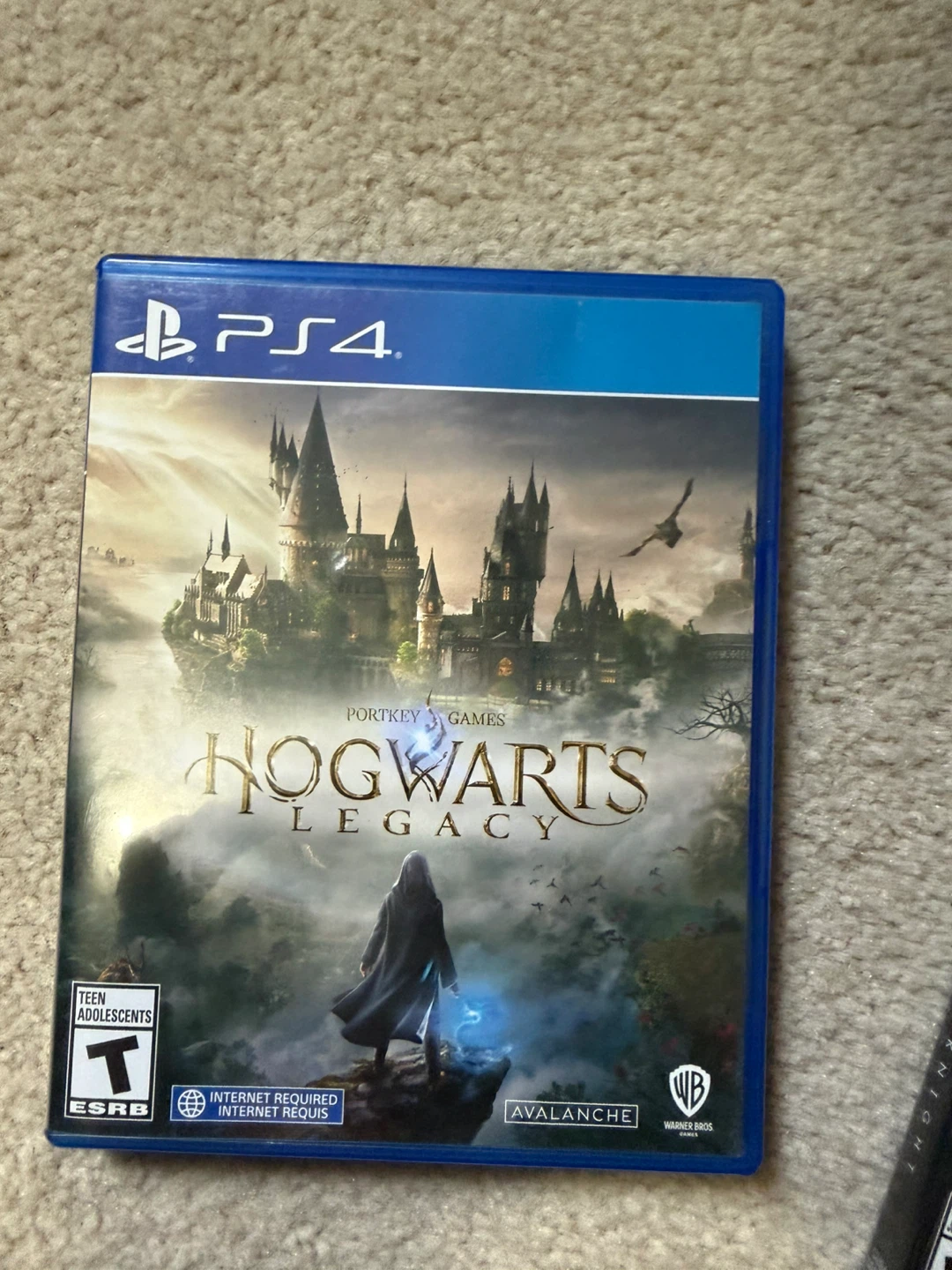 Hogwarts Legacy PS4 Game
