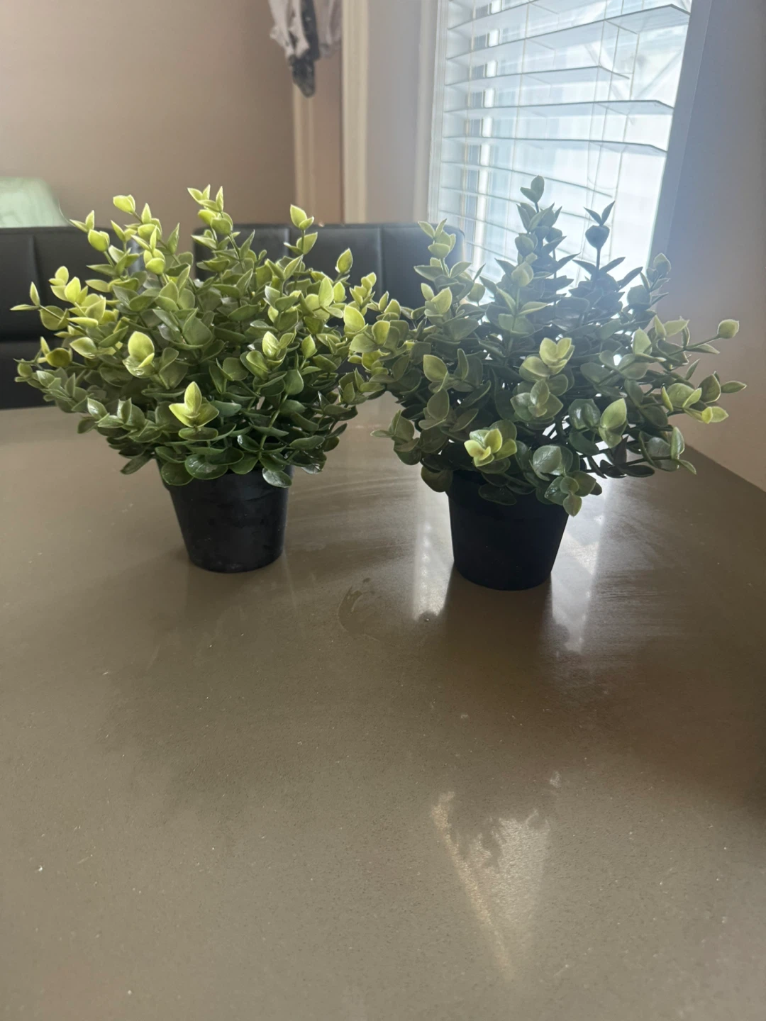 Set of 2 Artificial Plants with Pots