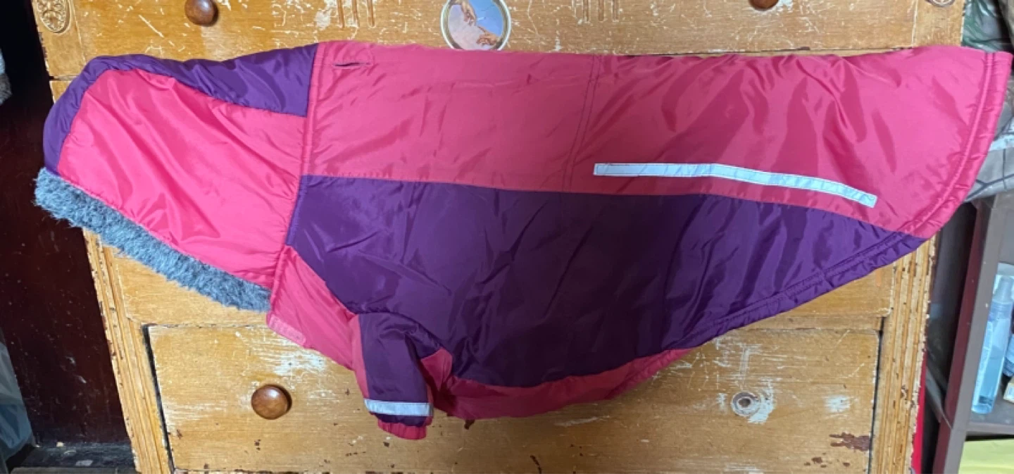 Dog Winter Jacket - Pink/Purple - photo 3